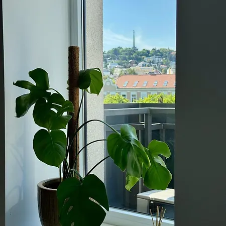 Cozy With Castle View